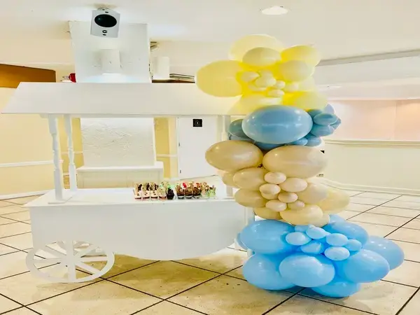 Baby Shower balloon decorations in Miami — photo 17