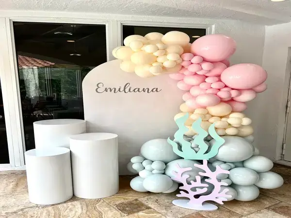 Birthday balloon decorations in Miami — photo 37