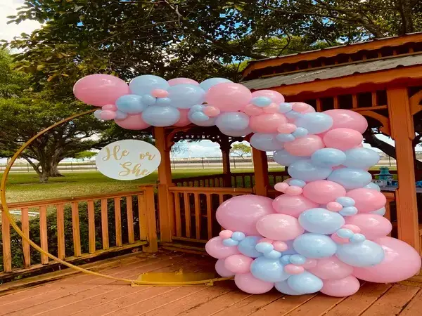 Gender Reveal balloon decorations in Miami — photo 11
