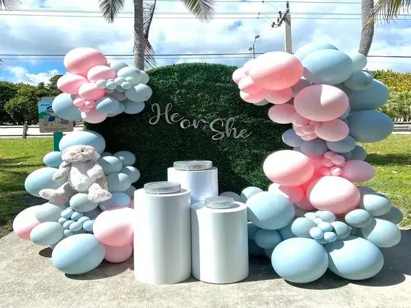 Gender Reveal balloon decorations in Miami — photo 13
