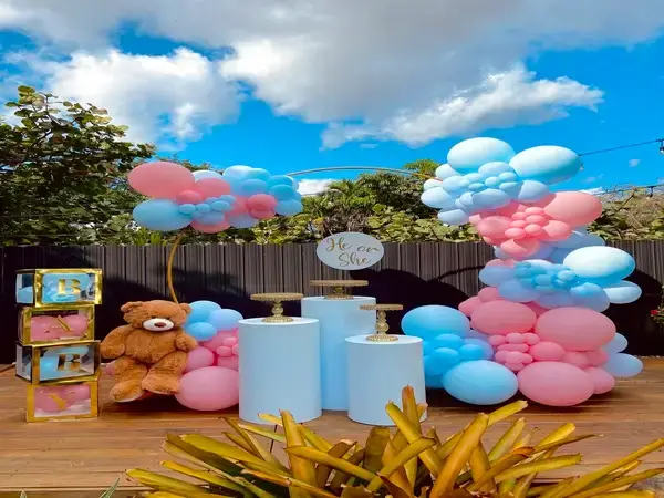 Gender Reveal balloon decorations in Miami — photo 14