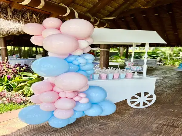 Gender Reveal balloon decorations in Miami — photo 2